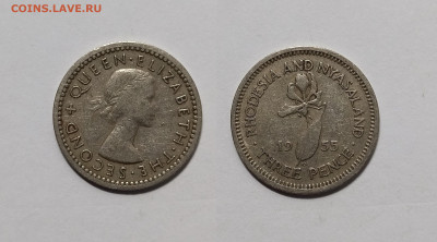 Родезия и Ньясаленд 3 пенса 1955 года - 19.02 - IMG_20230213_095819