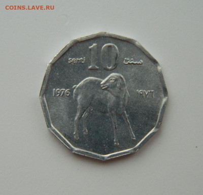 Сомали 10 центов 1976 г. (Фауна) С рубля! до 20.02.23 - DSCN8087.JPG