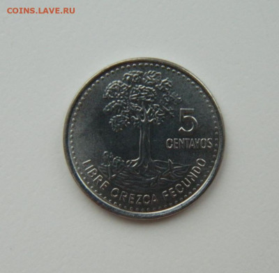 Гватемала 5 сентаво 2010 г. С рубля! до 21.02.23 - DSCN8373.JPG