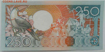 Суринам 250 гульденов 1988 г. С рубля! до 22.02.23 - DSCN8349.JPG
