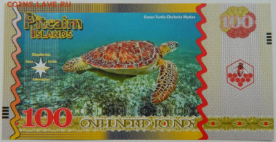 О. Питкерн 100 фунтов 2012(Частный выпуск)С рубля!до22.02.23 - DSCN8342.JPG