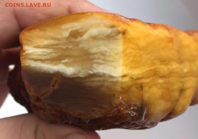 Куплю Янтарь, Коралл, Бакелит, Иконы, Будды Бронза. - IMG_20211102_234310