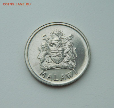 Малави 5 тамбала 1995 г. (Фауна) С рубля!  до 23.02.23 - DSCN8506.JPG