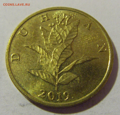 10 липа 2019 Хорватия №1 24.02.23 22:00 М - CIMG4784.JPG