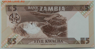 Замбия 5 квача 1980 г. С рубля! до 22.02.23 - DSCN8328.JPG