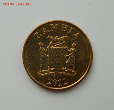 Замбия 50 нгве 2012 г. (Фауна) С рубля! до 23.02.23 - DSCN8545.JPG