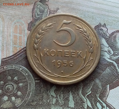 5 копеек 1956. До 25.02.23 в 22.00 - 20230219_134824