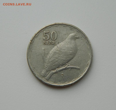 Самоа 50 сене 2011 г. (Фауна) С рубля! до 23.02.23 - DSCN8562.JPG