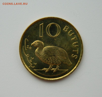 Гамбия 10 бутут 1998 г. (Фауна) С рубля! до 23.02.23 - DSCN8445.JPG