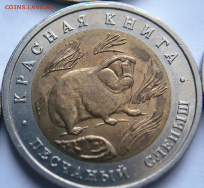 Полный комплект К.к.  предпродажная оценка - P1470744.JPG