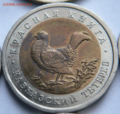 Полный комплект К.к.  предпродажная оценка - P1470743.JPG