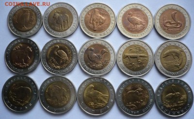 Полный комплект К.к.  предпродажная оценка - P1470742.JPG