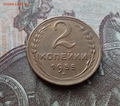 2 копейки 1955. До 26.02.23 в 22.00 - 20230220_142254