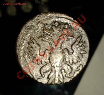 денга  1753 ,денга 1753 ,полушка 1735 (красивая) до 14.12.11 - 2011-12-12 01.48.58