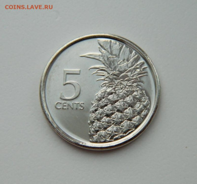 Багамские острова 5 центов 2016 г. С рубля!  до 27.02.23 - DSCN8229.JPG