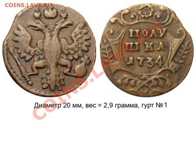 Полушки 1730-1754 годов. Галерея - Полушка 1734 №1 