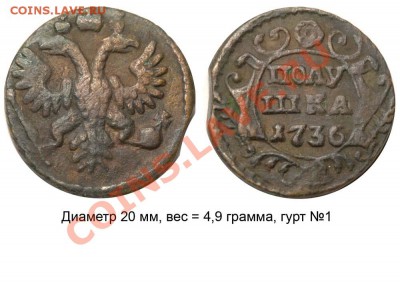 Полушки 1730-1754 годов. Галерея - Полушка 1736 №1