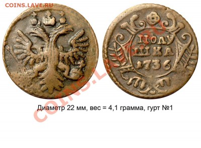Полушки 1730-1754 годов. Галерея - Полушка 1736 №2