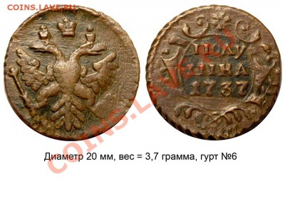 Полушки 1730-1754 годов. Галерея - Полушка 1737 №6