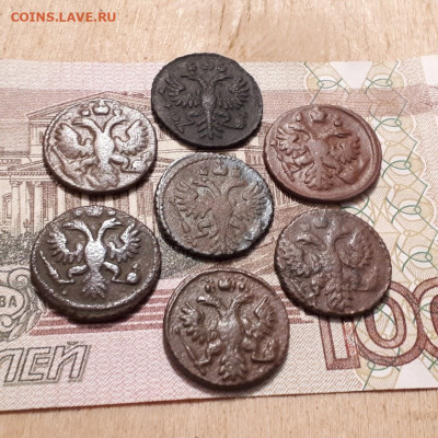 Полушки 1730,31,34,35,35,36,37г.до26.02.2023г.22-00мск - 20230220_231620