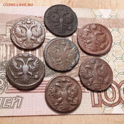 Полушки 1730,31,34,35,35,36,37г.до26.02.2023г.22-00мск - 20230220_231611
