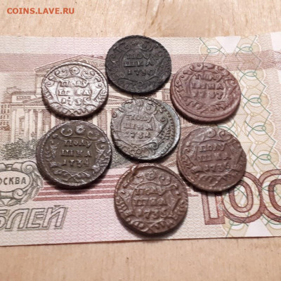Полушки 1730,31,34,35,35,36,37г.до26.02.2023г.22-00мск - 20230220_231343