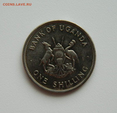 Уганда 1 шиллинг 1976 г. (Фауна) С рубля!  до 27.02.23 - DSCN8604.JPG