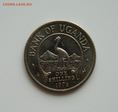 Уганда 1 шиллинг 1976 г. (Фауна) С рубля!  до 27.02.23 - DSCN8605.JPG