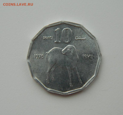 Сомали 10 центов 1976 г. (Фауна) С рубля! до 27.02.23 - DSCN8490.JPG