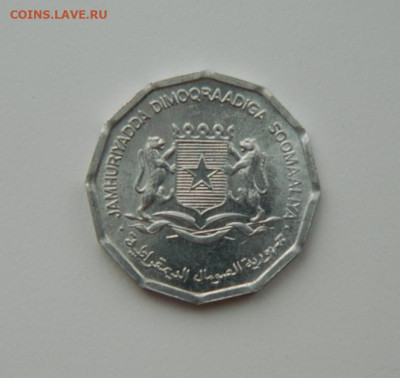Сомали 10 центов 1976 г. (Фауна) С рубля! до 27.02.23 - DSCN8493.JPG