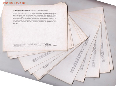 ОТКРЫТКИ БАБОЧКИ 1974 г. до 28.02.23 г. в 23.00 - 057