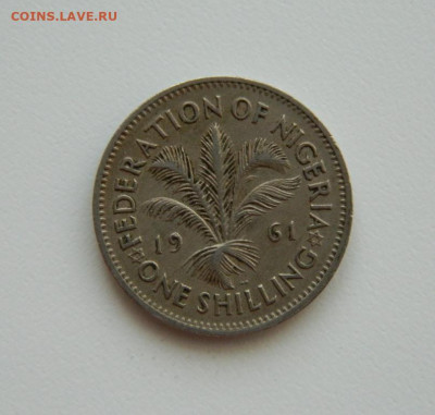 Британская Нигерия 1 шиллинг 1961 г. С рубля! до 27.02.23 - DSCN8790.JPG