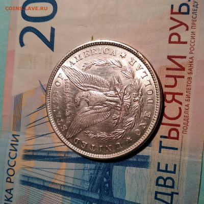 Морган 1881г.в блеске, one dollar, до 27.02.23г. 22:00 - 20230222_210216