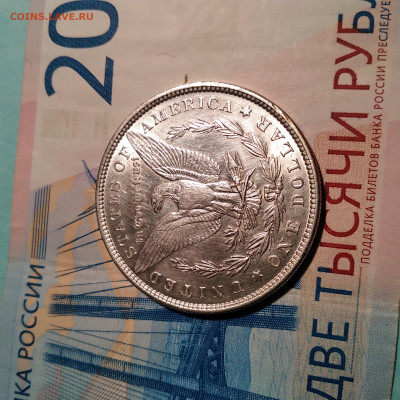 Морган 1881г.в блеске, one dollar, до 27.02.23г. 22:00 - 20230222_210214