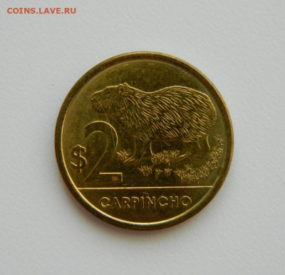 Уругвай 2 песо 2012 г. (Фауна) С рубля! до 01.03.23 - DSCN8773.JPG