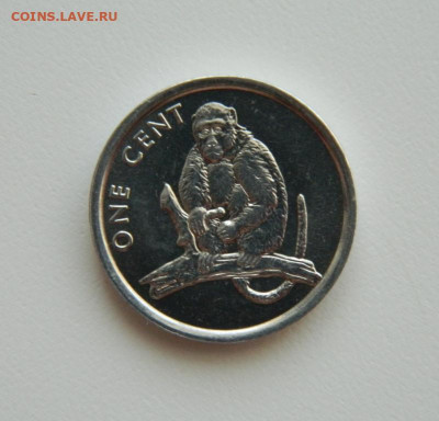 Острова Кука 1 цент 2003 г.(Обезьяна) С рубля! до 01.03.23 - DSCN8775.JPG