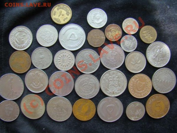 оцените господа ! - 08(2).JPG