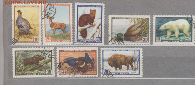 СССР 1957 фауна 8м до 01 03 - 284а