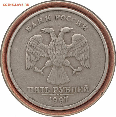 Эта разновидность по без гуртовых рифов , тоже будет иметь интерес . - 5