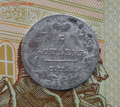 5 копеек 1826 г. СПБ НГ. Николай I. Орел с опущенными крылья - DSCN3267.JPG