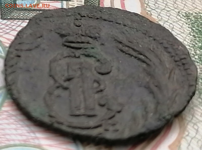 полушка сибирская 1771 км до 1.03.2023 - 1771 полушка (4)