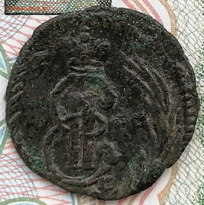 полушка сибирская 1771 км до 1.03.2023 - 1771 полушка (3)