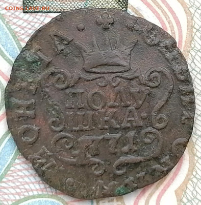 полушка сибирская 1771 км до 1.03.2023 - 1771 полушка (1)