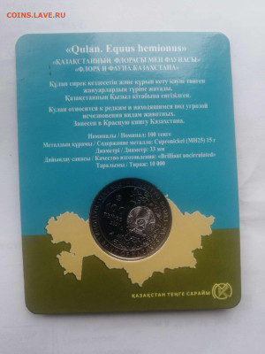 100тенге 2021г  Кулан в банковском блистере. 02.03 - Compress_20230228_134451_1418