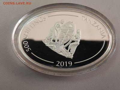 500шил 2019 Танзания- Свинья с бабочкой, Ag999, до 07.03 - ЯЯ Свинья с бабочкой-3