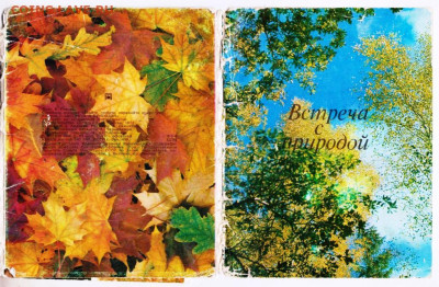 ФОТООТКРЫТКИ Встреча с природ 1973 г. до 07.03.23 г. в 23.00 - 025