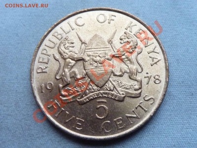 КЕНИЯ 5 с  1978г. до 19.12.11 в 22-00 - MEMO0051.JPG