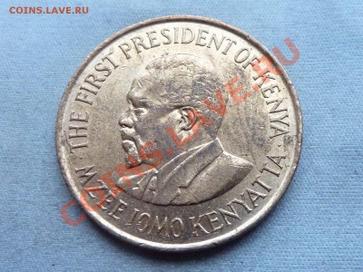 КЕНИЯ 5 с  1978г. до 19.12.11 в 22-00 - MEMO0050.JPG