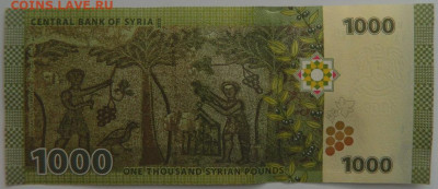 Сирия 1000 фунтов 2018 г. С рубля! до 06.03.23 - DSCN9031.JPG