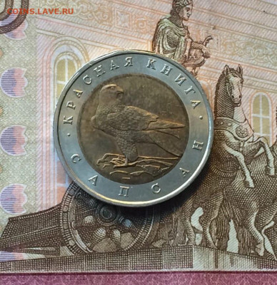 Красная книга.50 рублей 1994 год.Сапсан. до 03.03.23 - 10